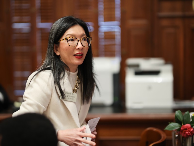 Rep. Michelle Au, who represents parts of Johns Creek and Alpharetta, on Feb. on Feb. 13, 2025. (Georgia House Media Services)